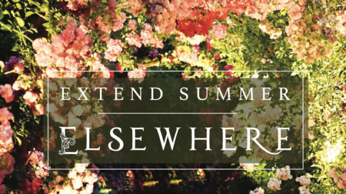 elsewhere