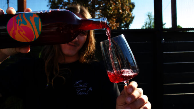 Dylan Wine