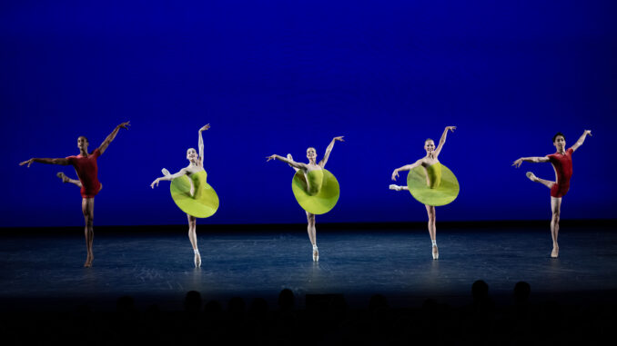 Forsythet_pChristopherDuggan_9605 (1)
